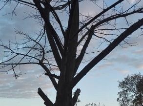 Filmowcy i fotografowie z klasy III