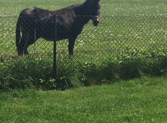 Filmowcy i fotografowie z klasy III