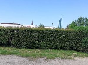 Filmowcy i fotografowie z klasy III