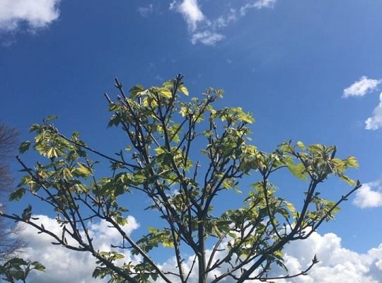 Filmowcy i fotografowie z klasy III