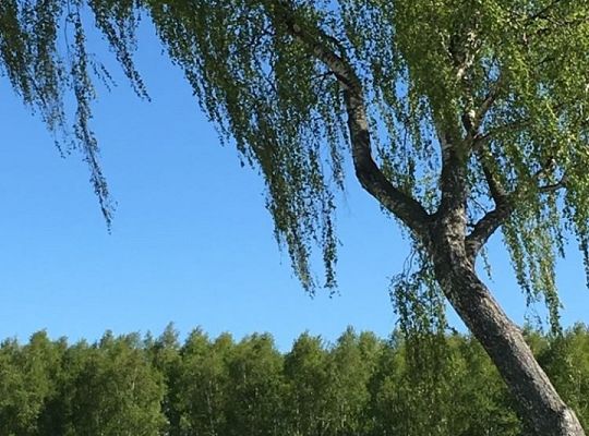 Filmowcy i fotografowie z klasy III