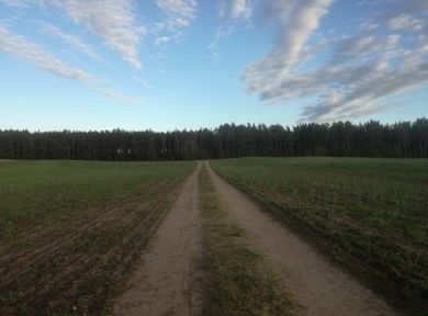 Filmowcy i fotografowie z klasy III