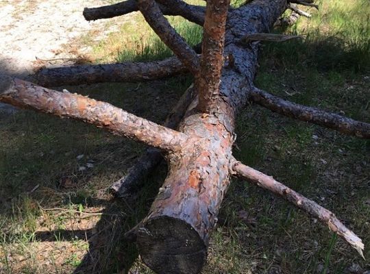 Filmowcy i fotografowie z klasy III