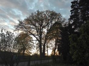 Filmowcy i fotografowie z klasy III