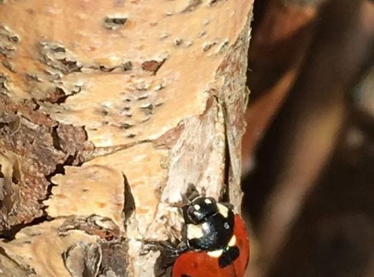 Filmowcy i fotografowie z klasy III