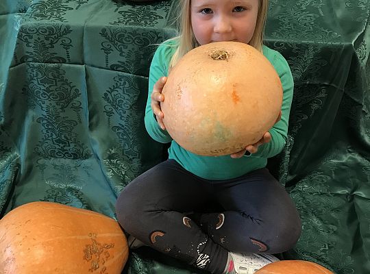 Święto Dyni - indywidualne zdjęcia.