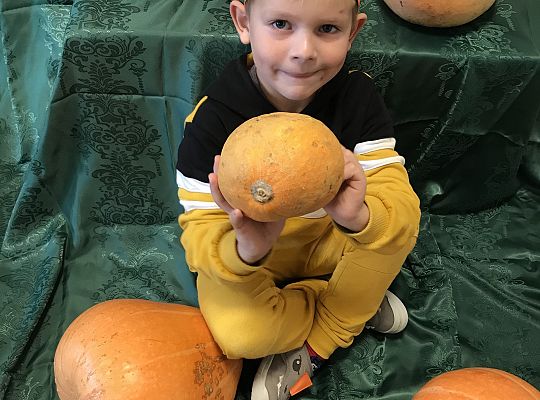 Święto Dyni - indywidualne zdjęcia.