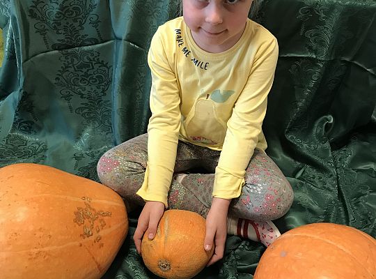 Święto Dyni - indywidualne zdjęcia.