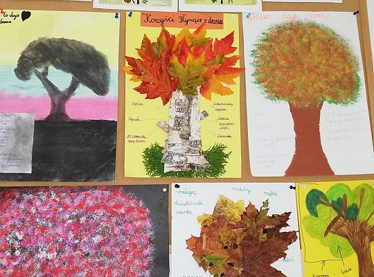 Klasa III zakończyła realizację I modułu międzynarodowego projektu CZYTAM Z KLASĄ lekturki spod chmurki