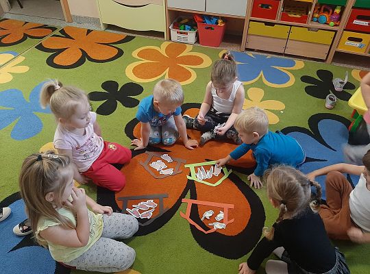 Dokarmiamy ptaki zimą