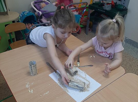 Dokarmiamy ptaki zimą