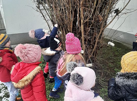 Dokarmiamy ptaki zimą
