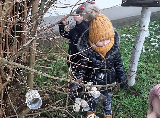Dokarmiamy ptaki zimą