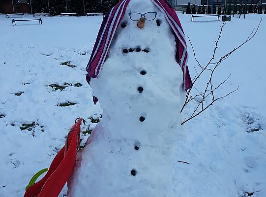 Zima nie jest taka zła.