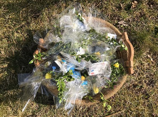 "List od zajączka".