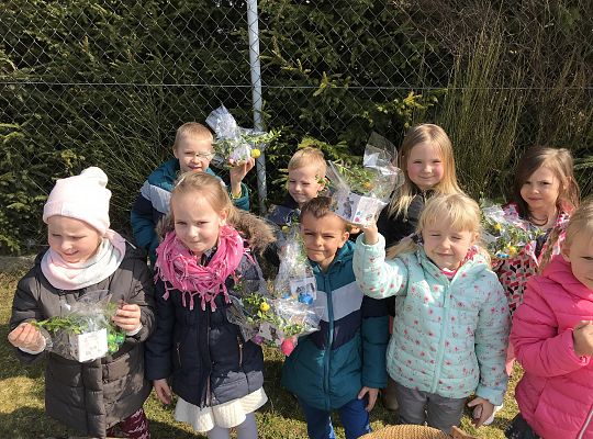 "List od zajączka".