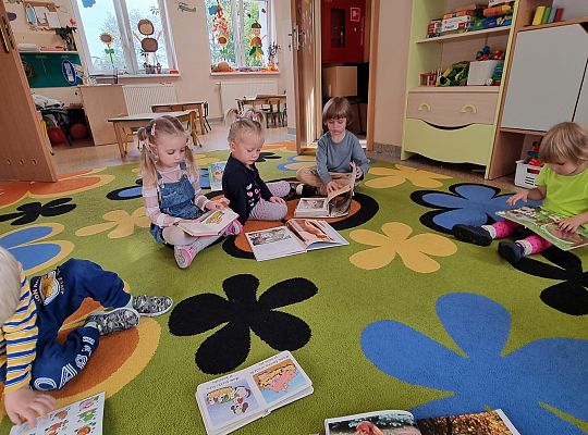 Międzynarodowy Dzień  Zwierząt