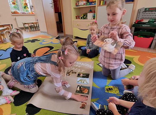 Międzynarodowy Dzień  Zwierząt