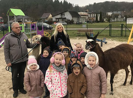 Spotkanie z alpakami