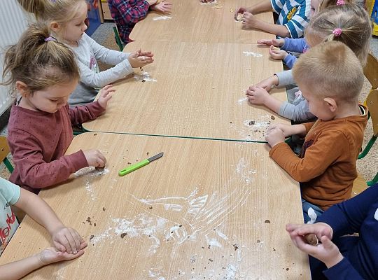 Dzień Pluszowego Misia