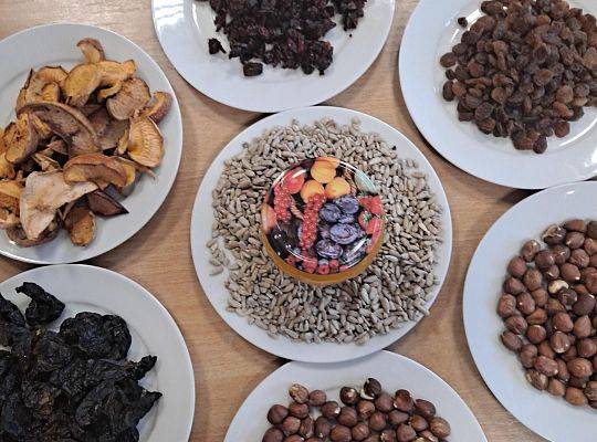 Dzień Pluszowego Misia